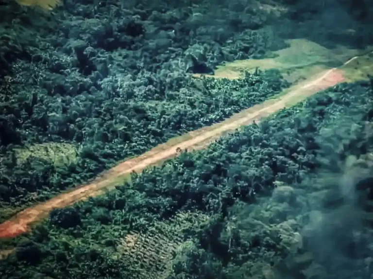 Una pista de aterrizaje clandestina en medio del bosque en Ucayali. Foto: Santiago Romaní