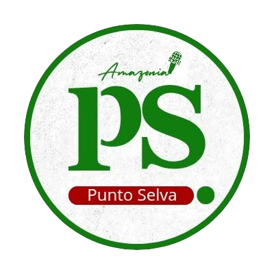 Punto Selva