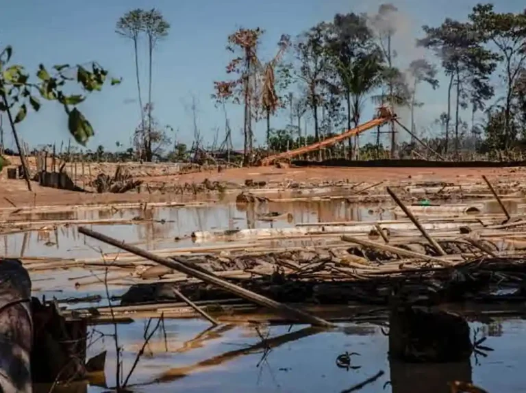 Aumentan pedidos de concesiones mineras en la selva peruana de Madre de Dios - punto selva