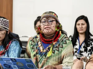 peru olivia bisa deibilidad protección líderes indígenas - punto selva