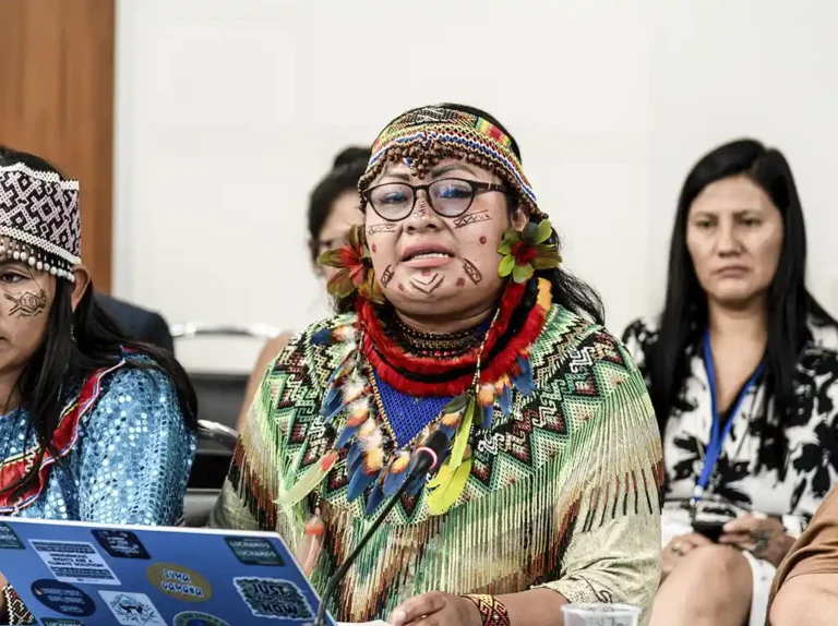 peru olivia bisa deibilidad protección líderes indígenas - punto selva